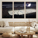 Honda Center California Anaheim Ducks Hockey Stadium Wall