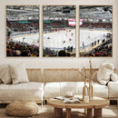 Lausanne Arena Ice Hockey Stadium Wall Art Canvas Print,