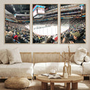 Xcel Energy Center St Paul Minnesota Wild Ice Hockey Stadium