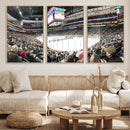Xcel Energy Center St Paul Minnesota Wild Ice Hockey Stadium