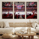 Carolina Hurricanes Ice Hockey Stadium Wall Art, Carolina