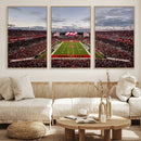 Florida Tampa Raymond James Stadium Wall Art Canvas Print -