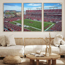 Florida Tampa Raymond James Stadium Wall Art Canvas Print -