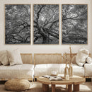 Majestic Angel Oak Tree Black and White Canvas Print – Multi by MyGreatCanvas | Canvas Wall Art Prints | Photo Prints & Wall Decor