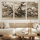 Sepia Framed Angel Oak Tree Wall Art - 3-Panel Canvas