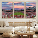 Carter-Finley Stadium Art Sunset Game Triple Canvas Wall Art