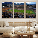 Colorado Buffaloes Canvas Print - Boulder Folsom Field