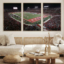 Houston Cougars Football Team Print - Houston TDECU Stadium