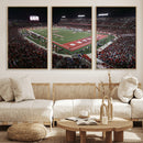 Houston Cougars Football Team Print - Houston TDECU Stadium