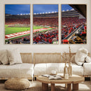 Wisconsin Badgers Football Team Print - Madison Camp Randall by MyGreatCanvas | Canvas Wall Art Prints | Photo Prints & Wall Decor