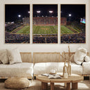 Demon Deacons Print Canvas, Football Team Print -