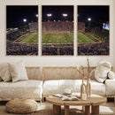 Demon Deacons Print Canvas, Football Team Print -