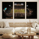 Wake Forest University Demon Deacons Canvas Printi, Football