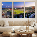 University of North Texas Mean Green Football Team Print - by MyGreatCanvas | Canvas Wall Art Prints | Photo Prints & Wall Decor