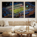 University of North Texas Mean Green Football Artwork,