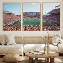 Framed Texas Memorial Stadium Canvas, University of Texas