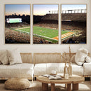 Darrell K Royal-Texas Memorial Stadium Canvas Wall Art -