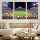 Wolfpack Football Team Print - Raleigh Carter-Finley Stadium
