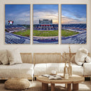 Florida Atlantic University Owls Football Team Print - Boca by MyGreatCanvas | Canvas Wall Art Prints | Photo Prints & Wall Decor