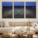 University of Michigan Wolverines Football Team Print - Ann