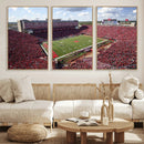 University of Nebraska Cornhuskers Football Team Print -