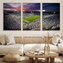 Penn State Nittany Lions Football Team Print - University