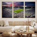 Penn State Nittany Lions Football Team Print - University