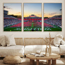 NC State Wolfpack Football Team Print Wall Art - Raleigh