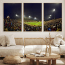 Central Michigan University Chippewas Canvas Wall Art,