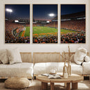 Clemson University Tigers Art Print, Football Team Print -