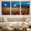 Clemson University Tigers Football Team Print - Clemson