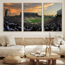 Michigan State Spartans Football Team Print - East Lansing
