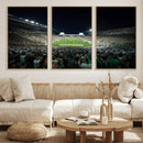 Framed Michigan State Spartans Football Team Print - East