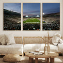 Michigan State Spartans Football Team Print - East Lansing