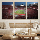 Ohio State University Buckeyes Football Team Print -