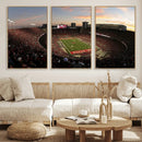 Ohio State University Buckeyes Football Team Print -