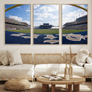 Rice University Owls Football Team Print - Houston Rice