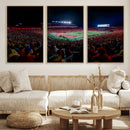 Rutgers Scarlet Knights Football Team Print - SHI Stadium,