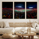 Rutgers Scarlet Knights Football Team Print - SHI Stadium,