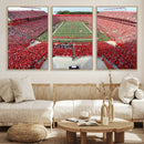 Rutgers Scarlet Knights Football Team Print - Piscataway SHI by MyGreatCanvas | Canvas Wall Art Prints | Photo Prints & Wall Decor