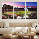 Stanford University Cardinal Football Team Print - Stanford