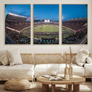 Texas Tech Red Raiders Canvas, Framed Football Team Print -