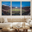 Texas Tech Red Raiders Canvas, Framed Football Team Print -