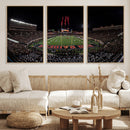 Framed Texas Tech Red Raiders Stadium Canvas, Texas Tech Red