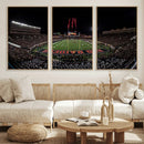 Framed Texas Tech Red Raiders Stadium Canvas, Texas Tech Red