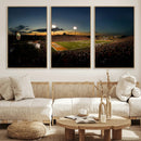 Ball State Cardinals Football Team Print - Muncie Scheumann