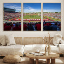 Ball State Cardinals Football Team Print - Muncie Scheumann