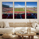 Ball State Cardinals Football Team Print - Muncie Scheumann