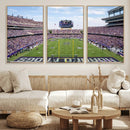 TCU Horned Frogs Football Team Print - Fort Worth Amon G.