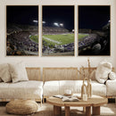 TCU Horned Frogs Football Team Print - Fort Worth Amon G.